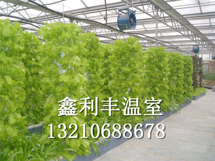 供應(yīng)立柱栽培植物工廠無土栽培工程景觀溫室