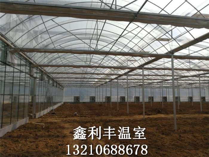 江蘇溫室工程施工現(xiàn)場